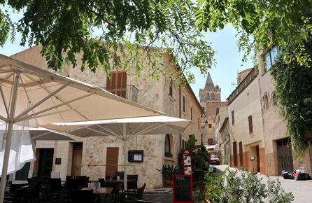 Sineu