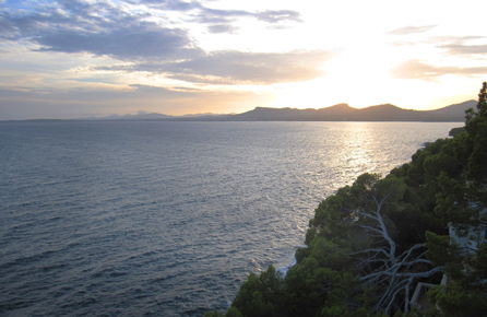 Costa de los Pinos