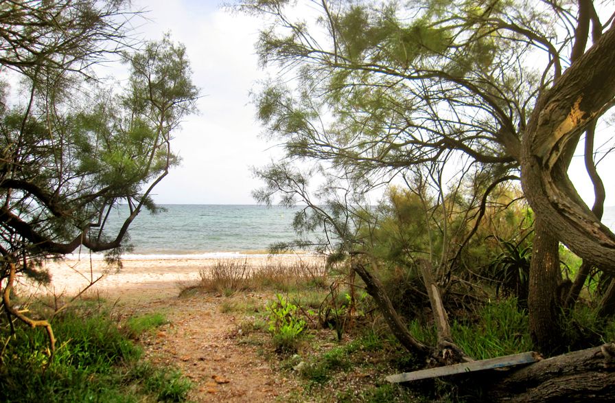 Costa este