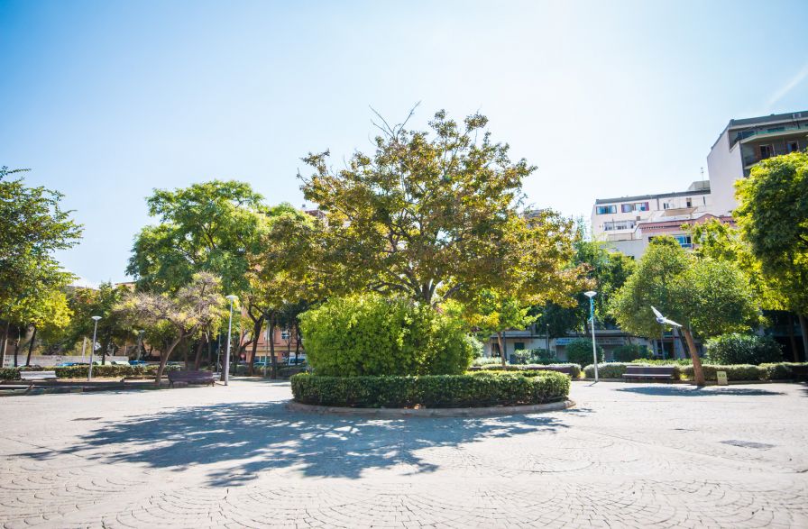 Palma Ciudad Playa