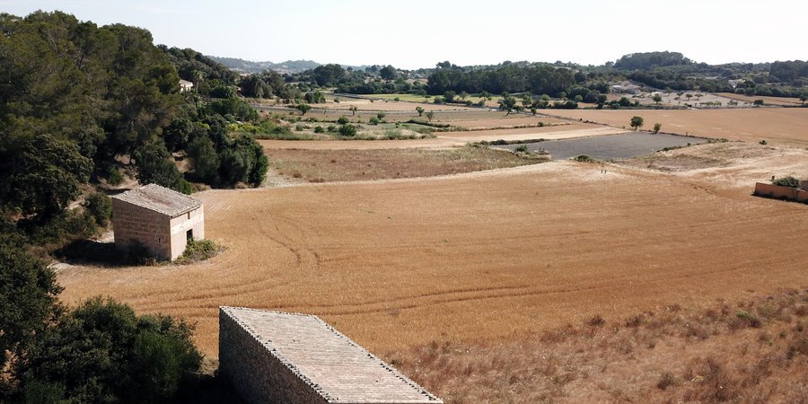 Parcela edificable de ubicación rural cerca de Montuiri