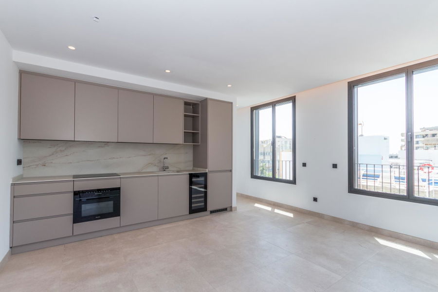Excellent new penthouse with roof terrace and private pool in Son Armadams