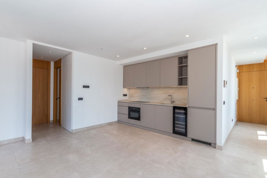 Excellent new penthouse with roof terrace and private pool in Son Armadams