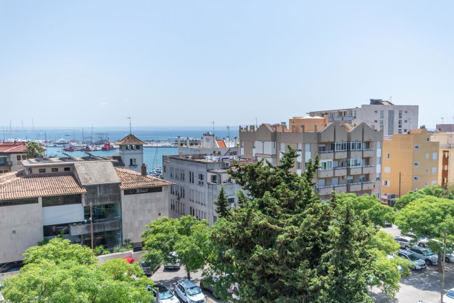 Excellent new penthouse with roof terrace and private pool in Son Armadams