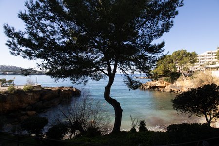 Nice flat with front sea view in Santa Ponsa