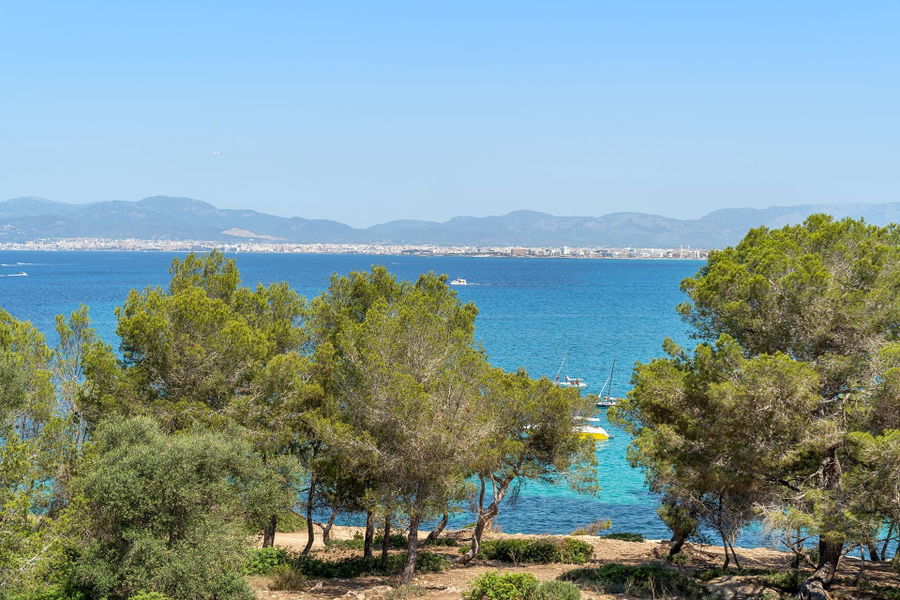 Distinguished villa with sea view in privileged location in Son Veri Nou