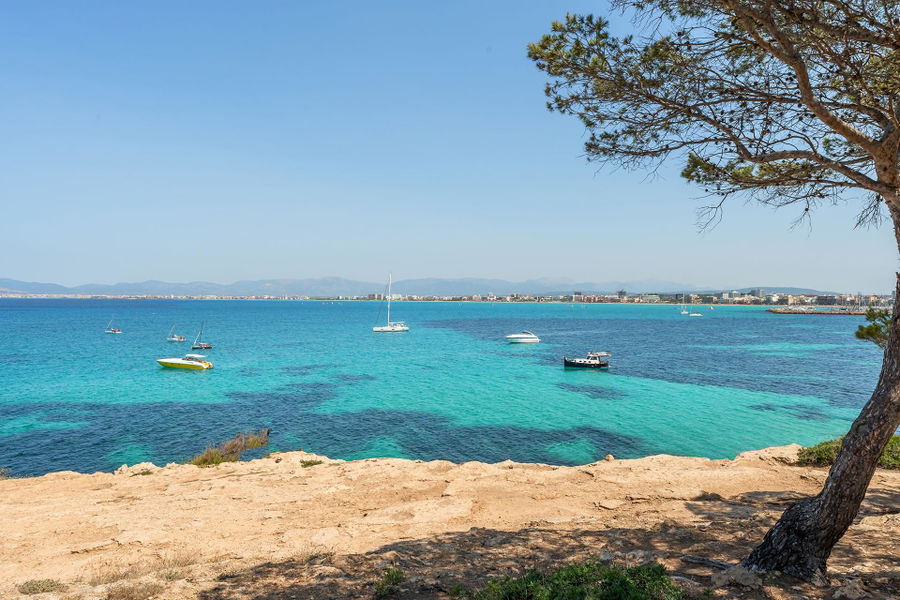 Distinguished villa with sea view in privileged location in Son Veri Nou