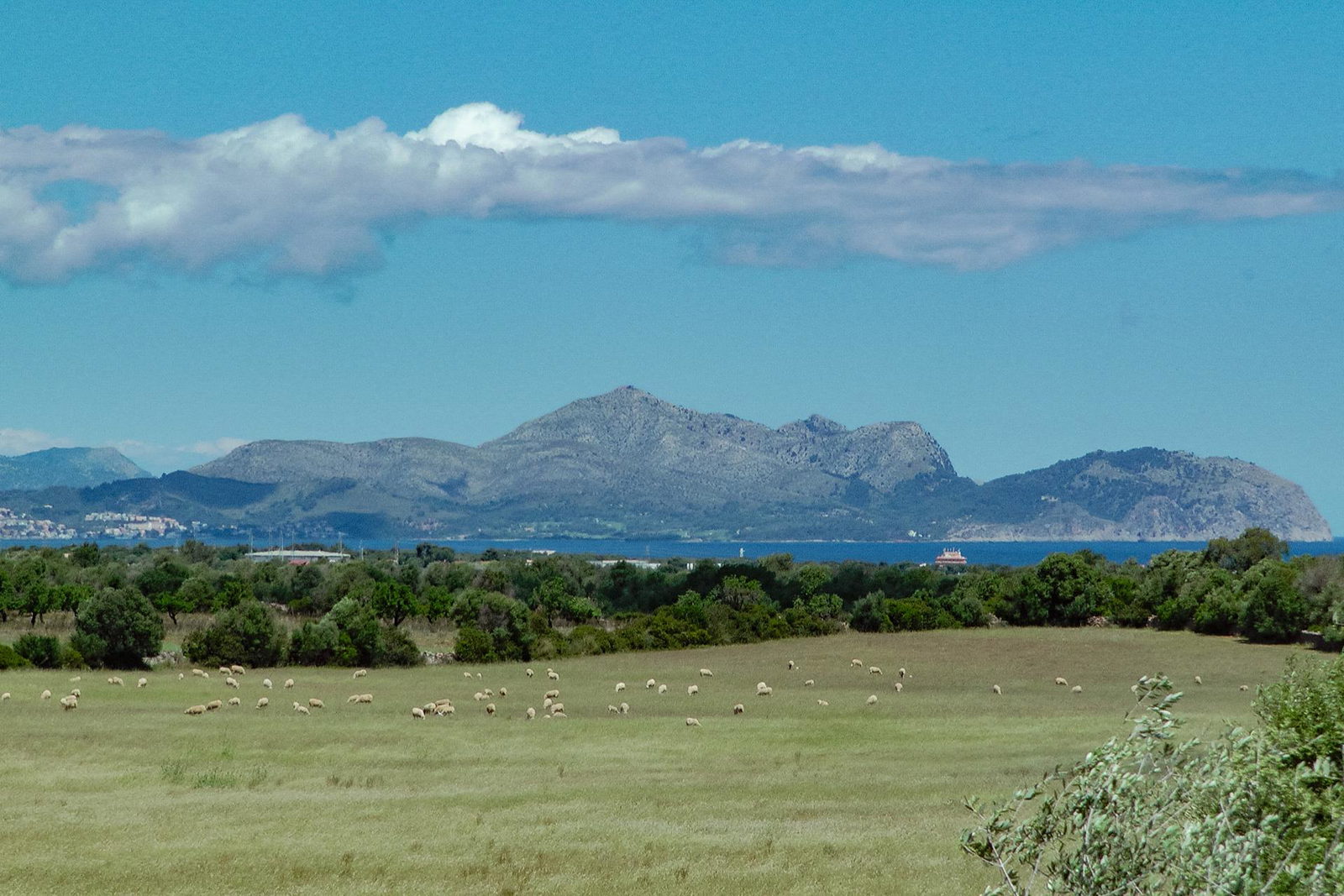 Luxuriöses Traumanwesen in Santa Margalida