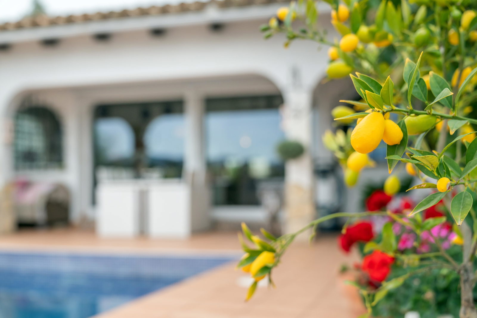 Vacker villa med trädgård och pool i Santa Ponsa