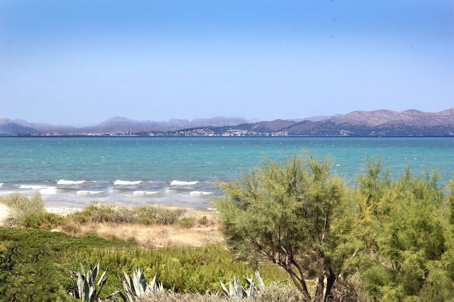 Propriedad con licencia turistica en Son Serra de Marina