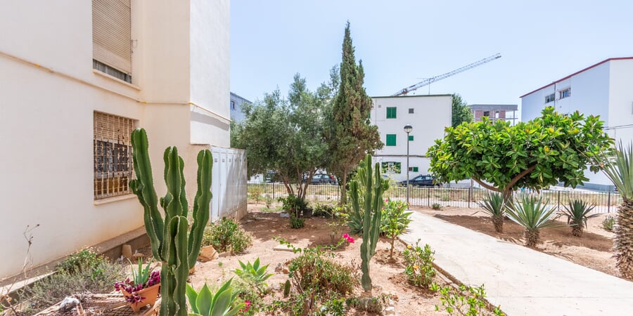 Potencial piso para reformar en el prometedor barrio de Nou Llevant