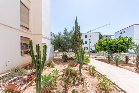 
    
                
            Potencial piso para reformar en el prometedor barrio de Nou Llevant
        
