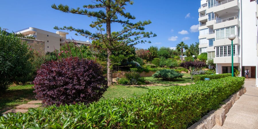 Spacious  apartment close to the beach in Portals Nous