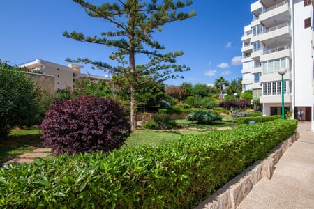 Spacious  apartment close to the beach in Portals Nous