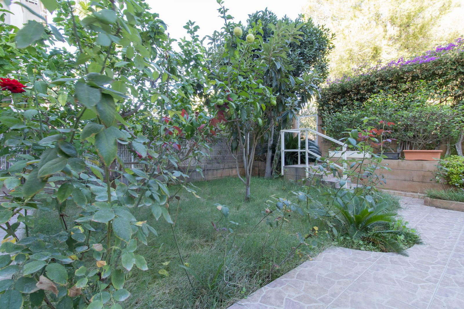 Geräumige Erdgeschosswohnung mit Terrasse und Garten in Son Caliu