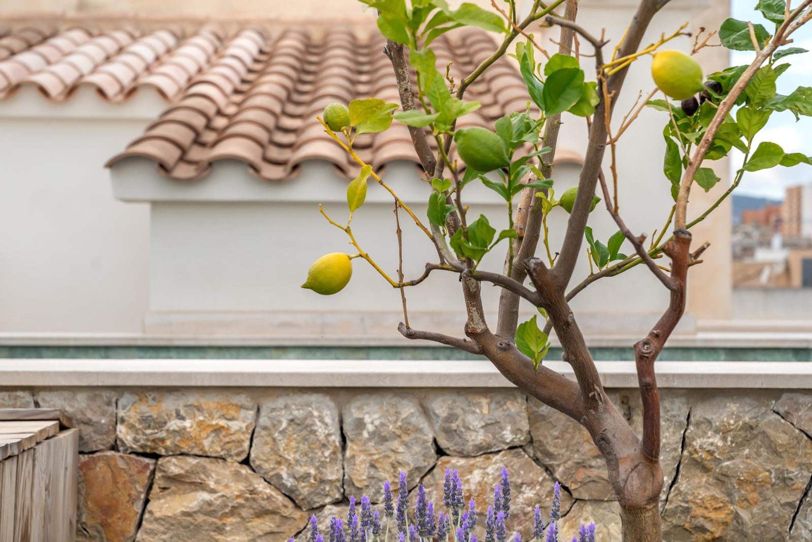 Modernes Penthouse zum Verkauf in Santa Catalina, Palma – Dachterrasse, Pool & Meerblick