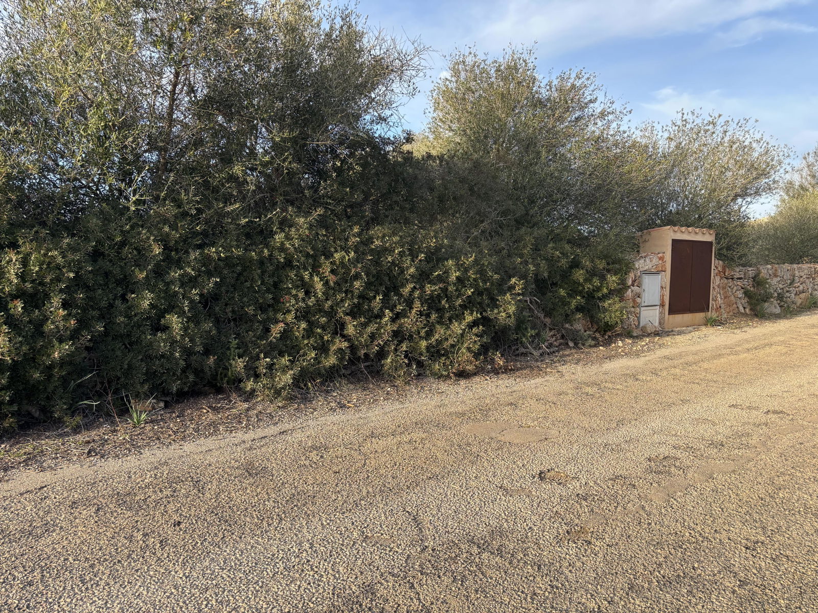 Baugrundstück in Ses Salines Mallorca