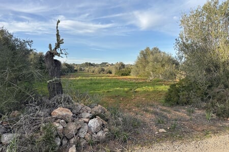 Buildable plot in Ses Salines Mallorca