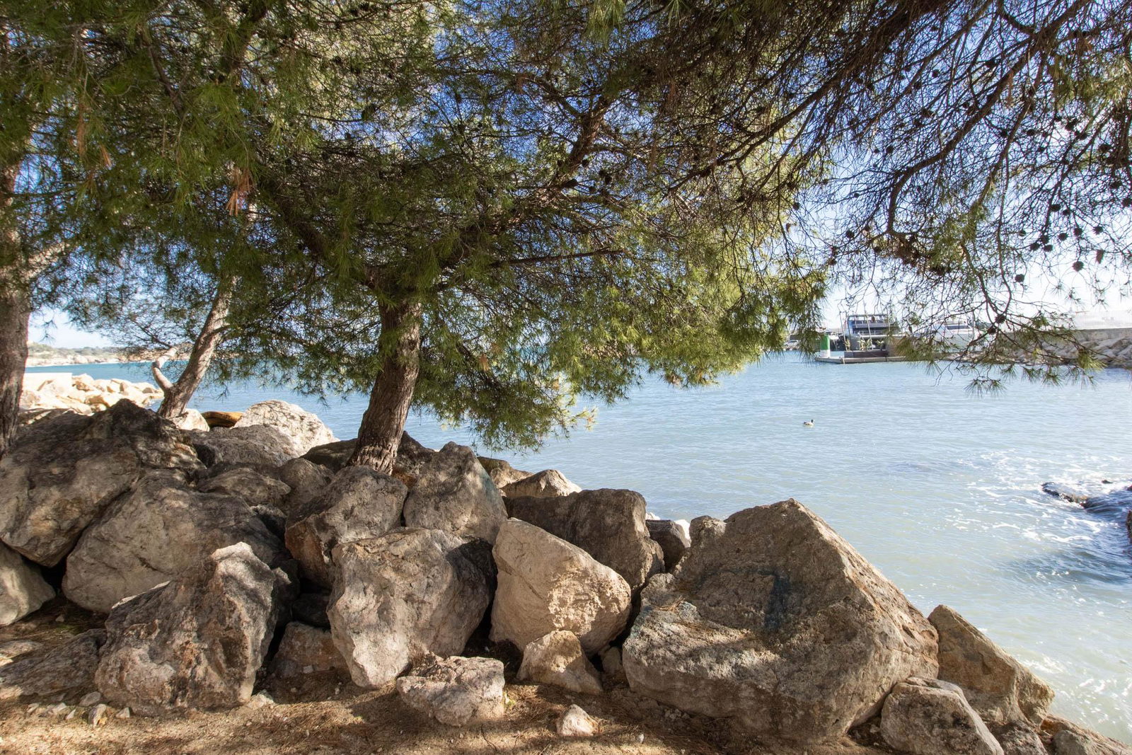 Piso en primera línea con vistas al mar y ubicación privilegiada en San Agustín