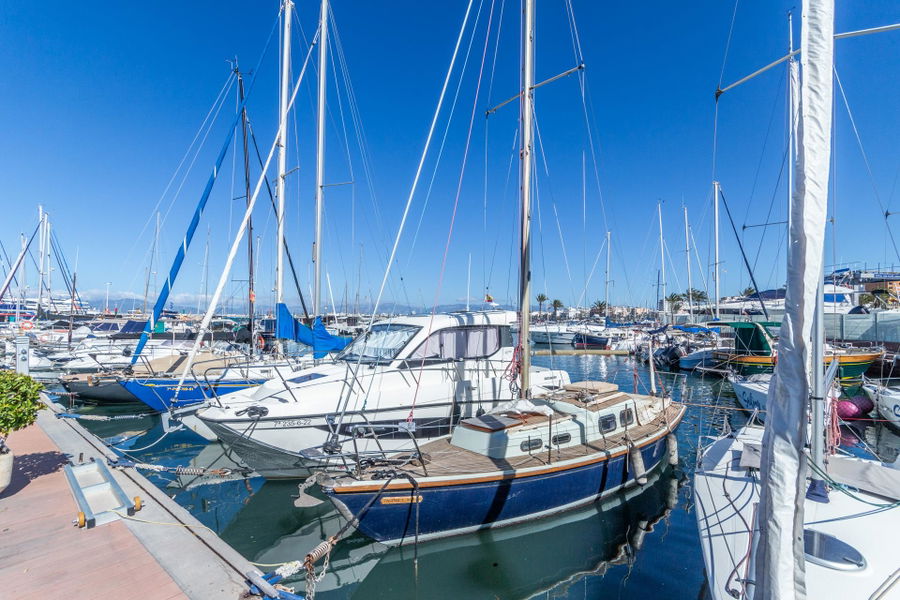 Dein Heimathafen auf Mallorca – Apartment nur wenige Schritte vom Meer in el Arenal