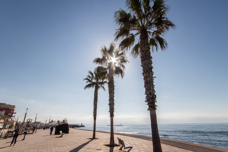 
    
                
            Se vende amplia casa con potencial para reforma en Portixol
        
