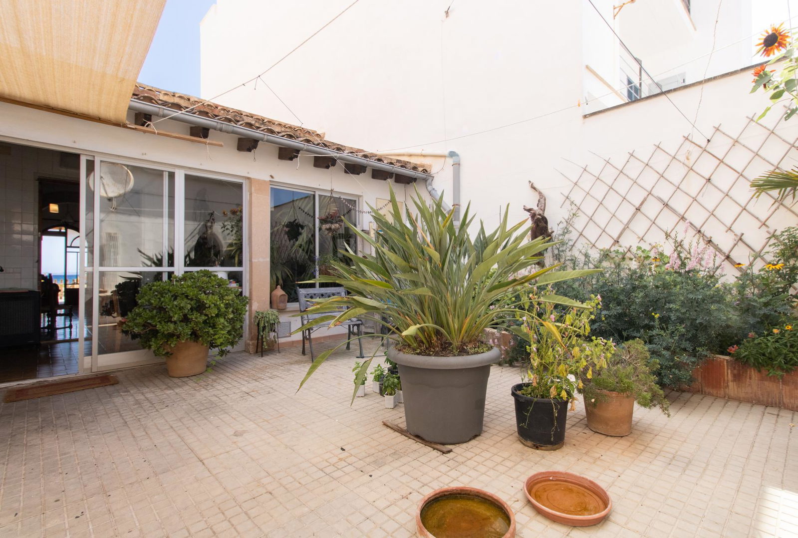 Sea view property with great potential and charming location in Sa Rapita