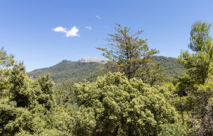 Encantadora vivienda con un entorno idílico en el corazón de la Serra de Tramuntana