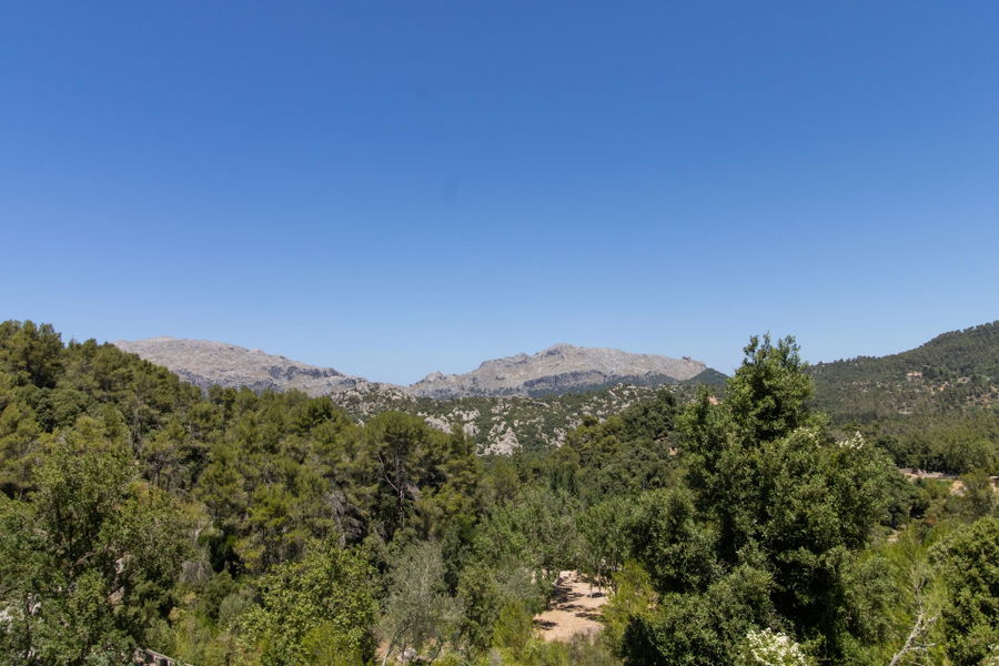 Encantadora vivienda con un entorno idílico en el corazón de la Serra de Tramuntana