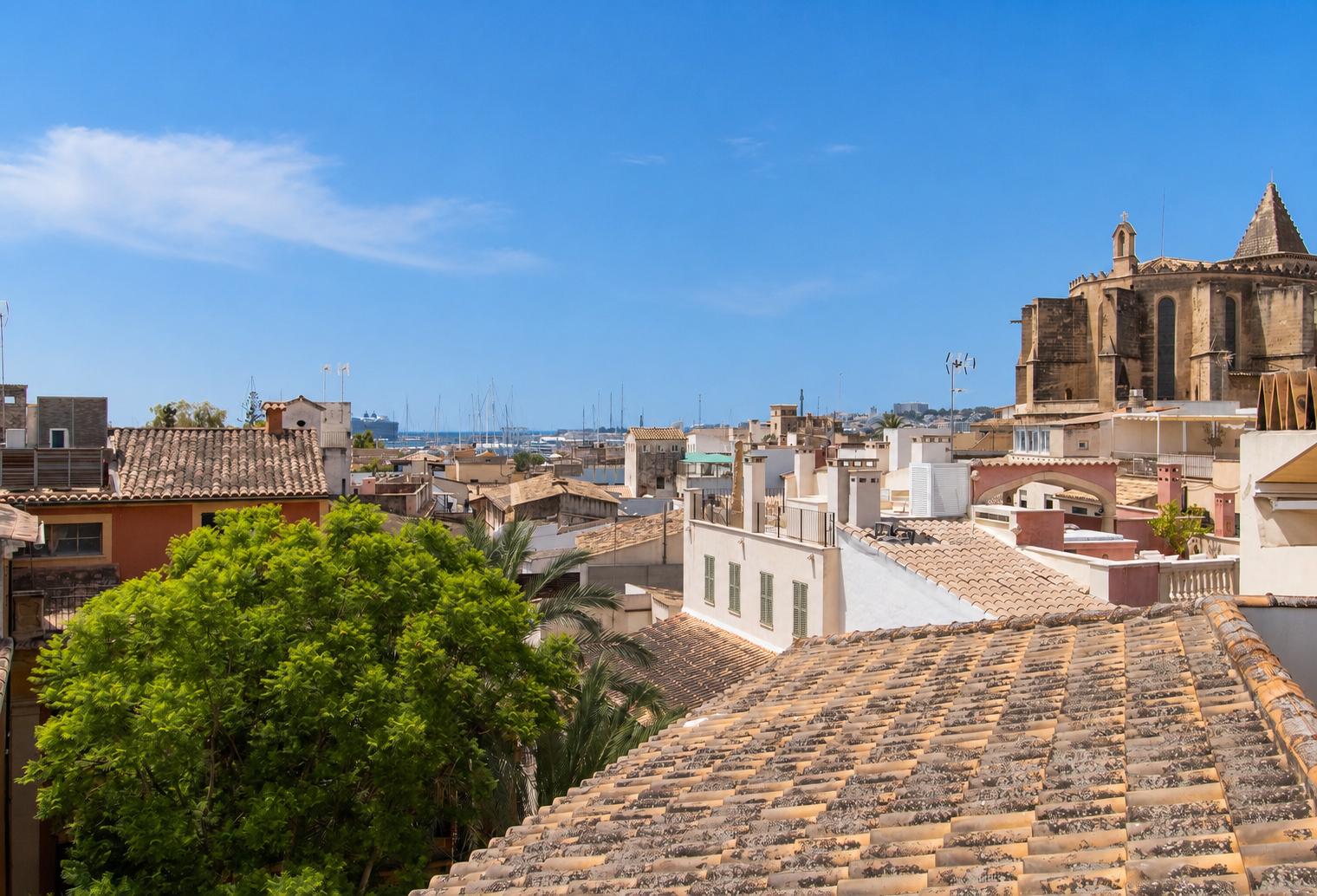 Acogedor piso con ubicación de encanto en el corazón del casco antiguo de Palma