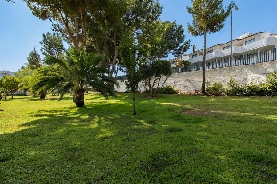 Spacious ground floor apartment with an amazing terrace and community pool in Palmanova