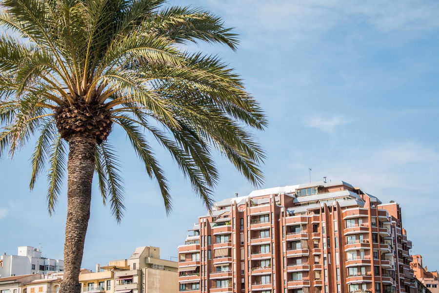Ático de obra nueva con 3 dormitorios y terraza privada en la azotea en el centro de Palma