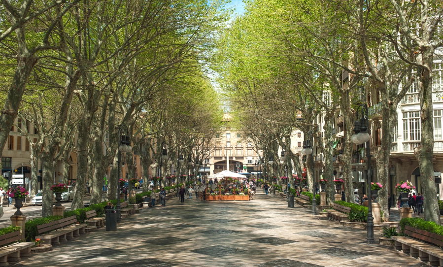Moderno apartamento de 3 dormitorios con terraza en el corazón de Palma