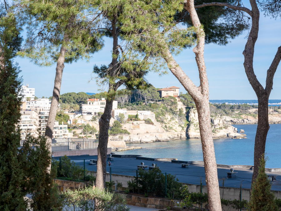 Renovated apartment with terrace, sea view and prime location in San Agustin