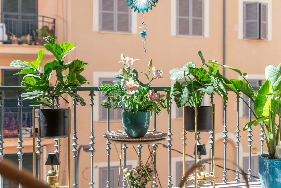 Modern lägenhet i centrala Palma med mysig terrass